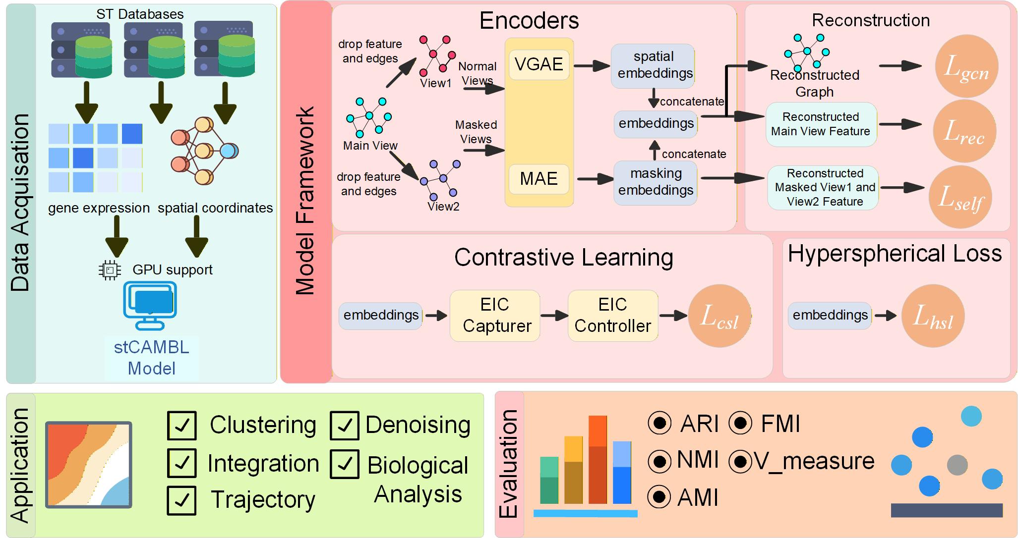 Biased multi-view contrastive learning graphical abstract