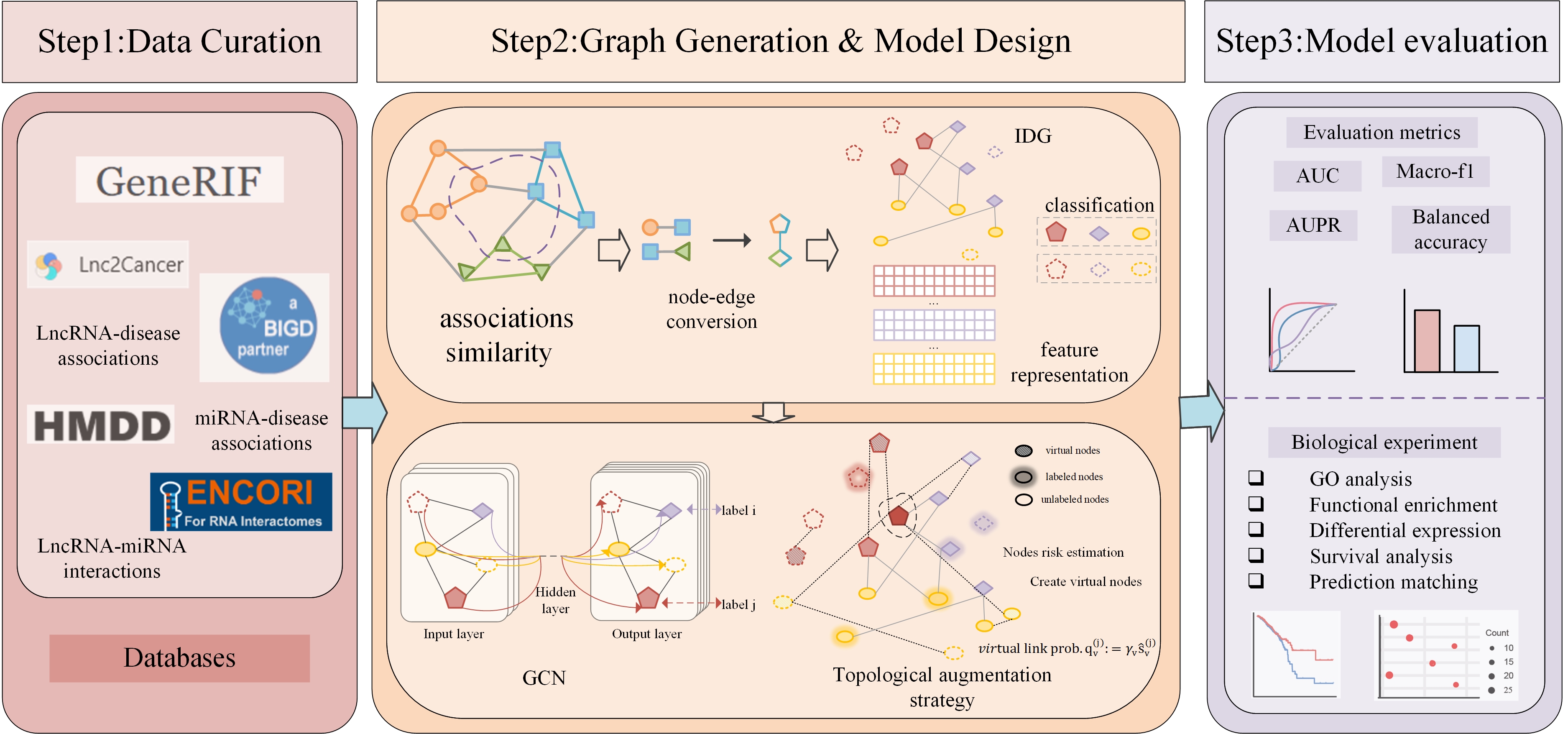 Dual balanced augmented topological framework graphical abstract