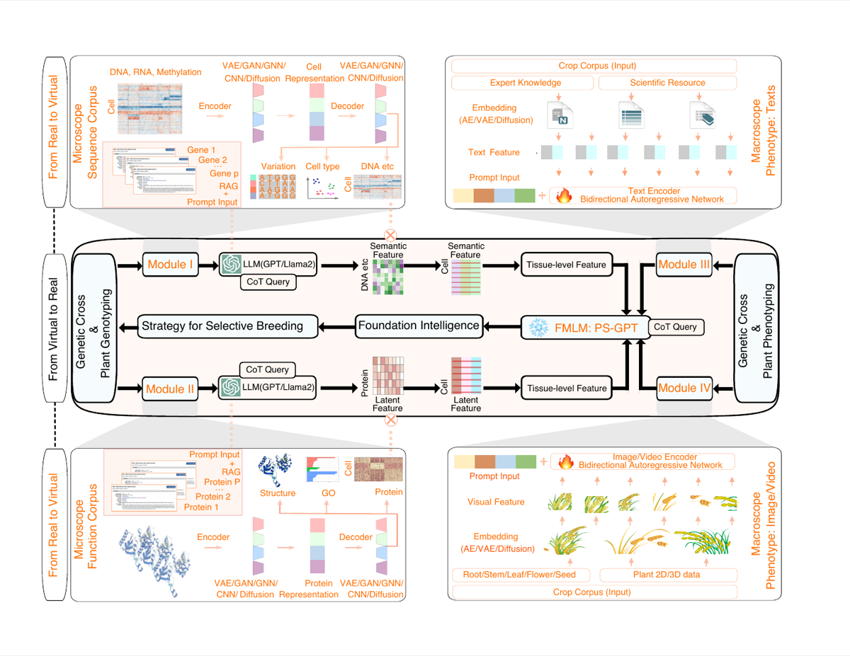 Parallel Seeds graphical abstract