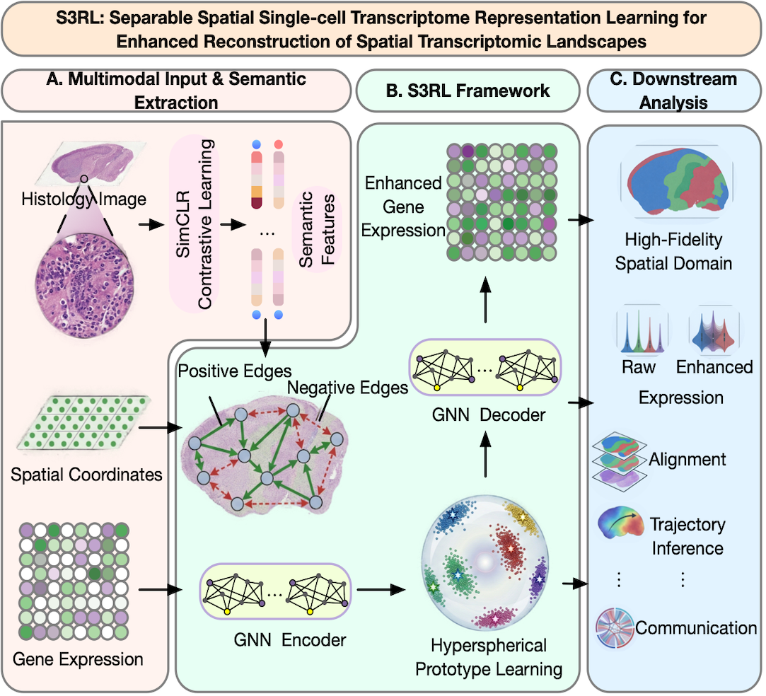 S3RL graphical abstract