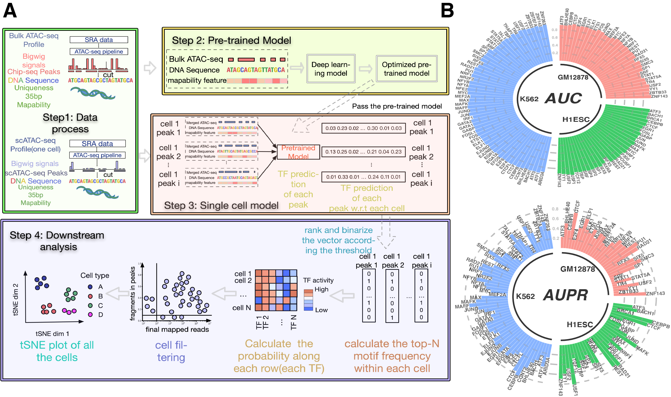 scFAN graphical abstract