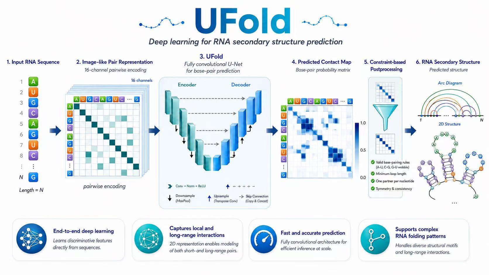 UFold graphical abstract